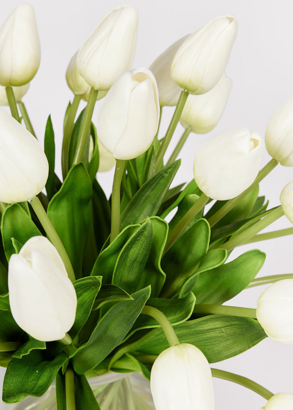 Bouquet of white real touch tulips in vase