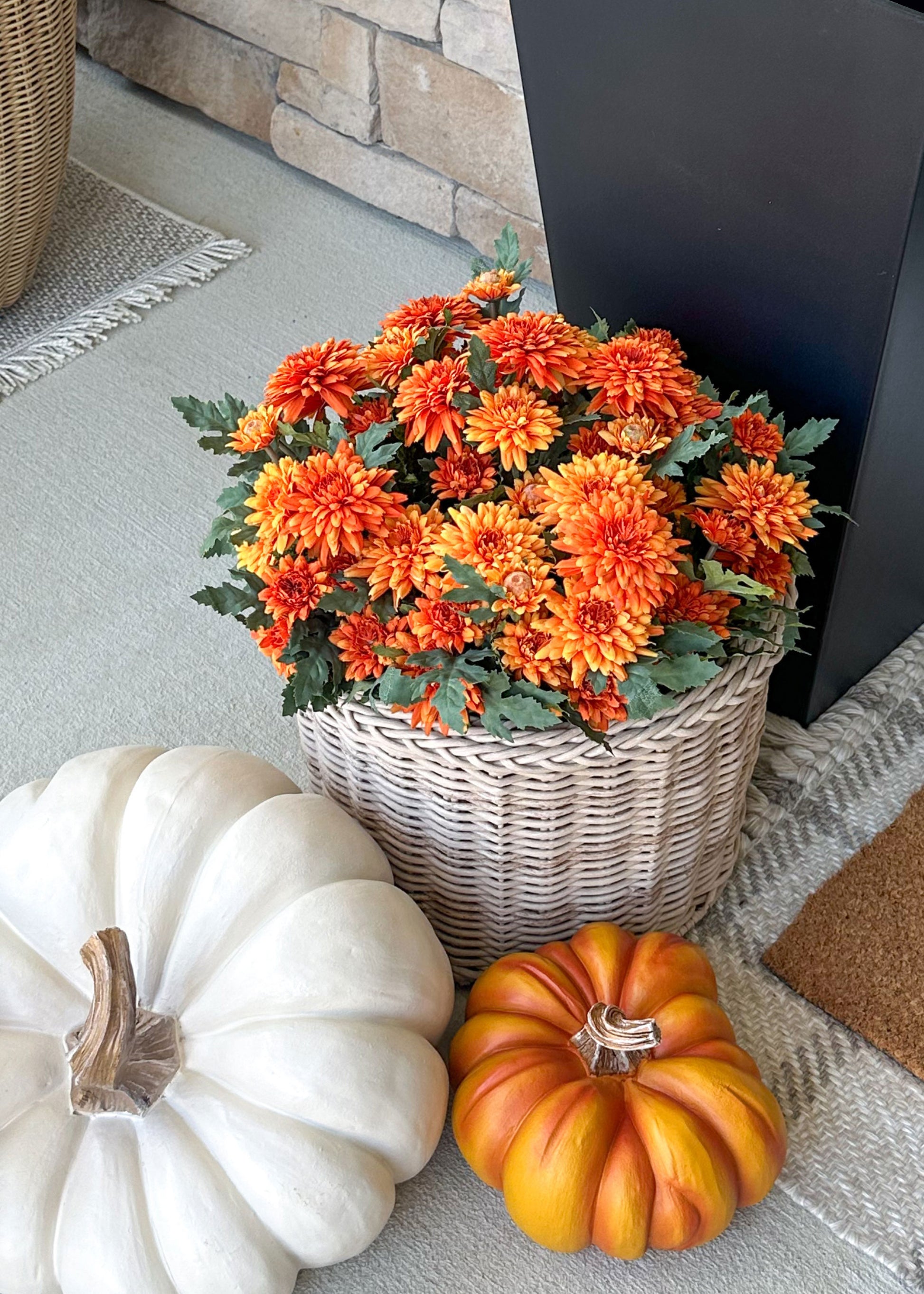 UV Treated Orange Mums on Fall Porch