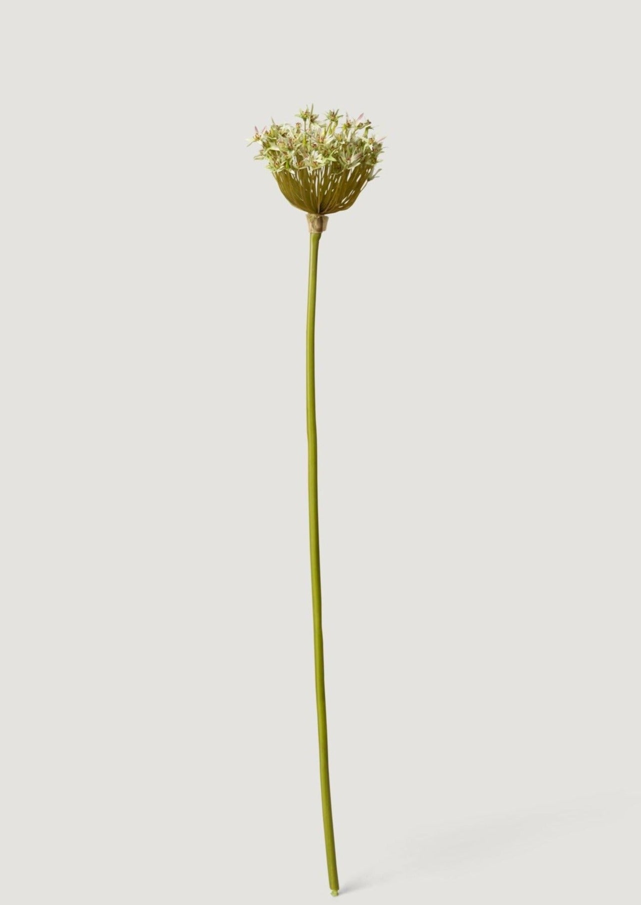 Artificial Allium in Green