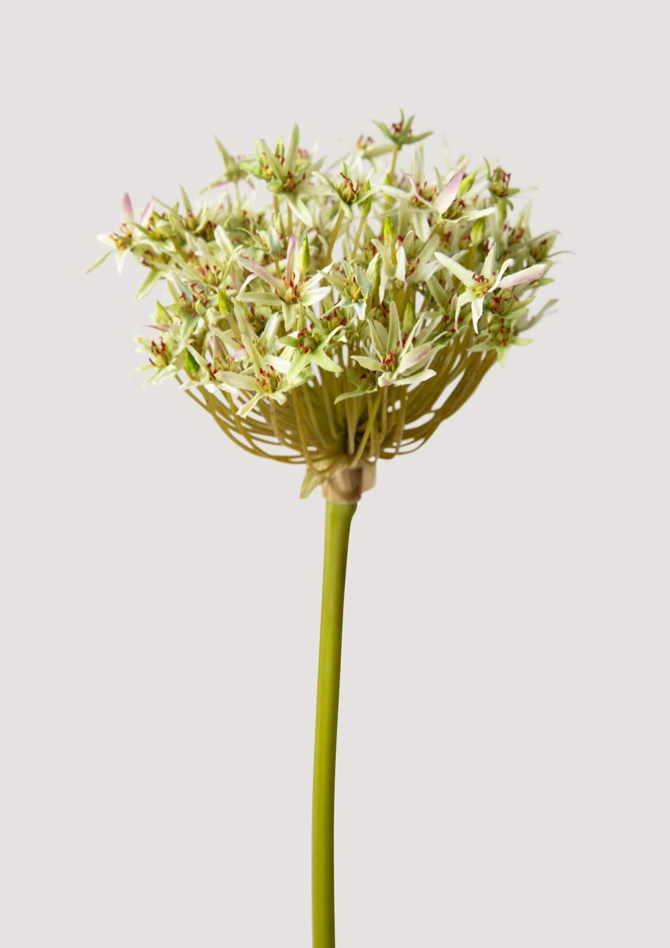 Faux Allium Flower