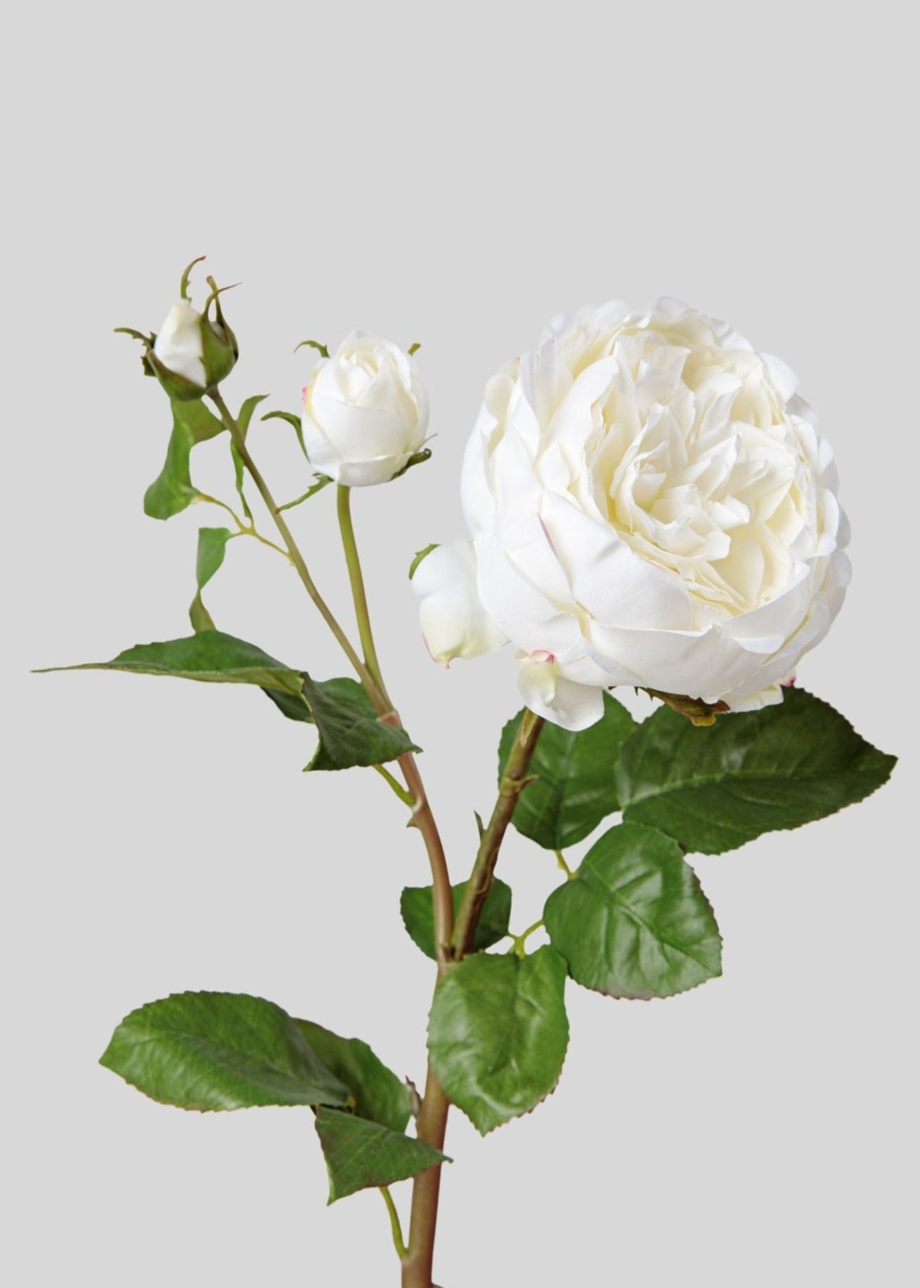 Englsih Roses Fake Real Touch Fake Flower English Rose | Fake Flowers at Afloral