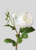 Cream White Faux Real Touch English Rose with Buds