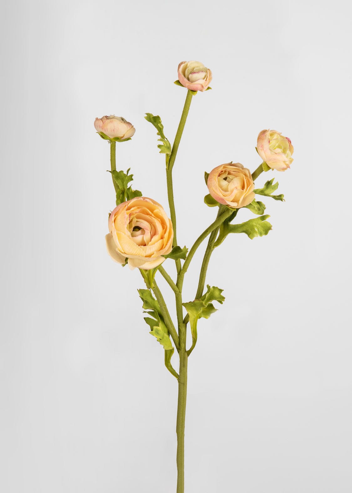 Afloral Faux Flowers Real Touch Ranunculus in Peach