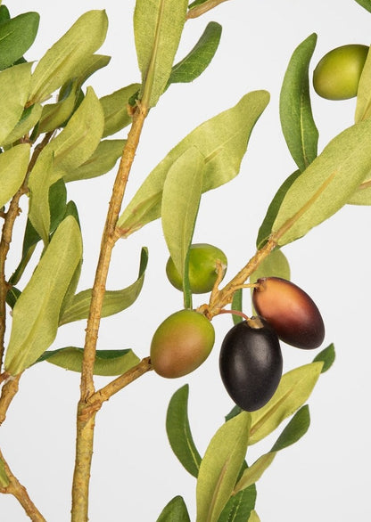Close Up of Artificial Olive Leaves Branch at afloral