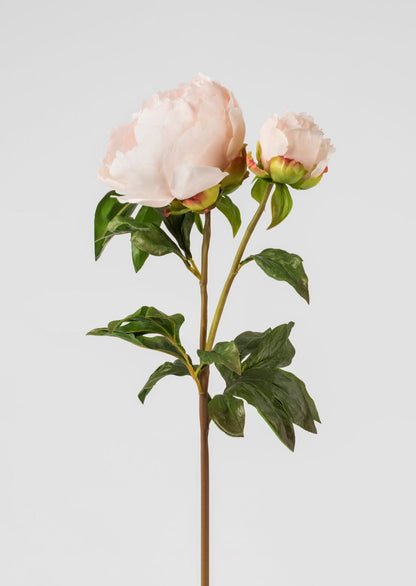 Faux Botanicals in Blush Real Touch Peony Flowers Stem at afloral