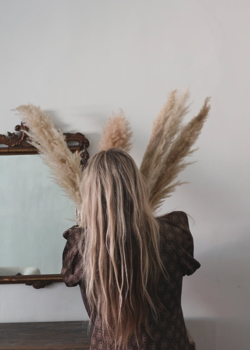 Natural Dried Tan Pampas Grass Stems