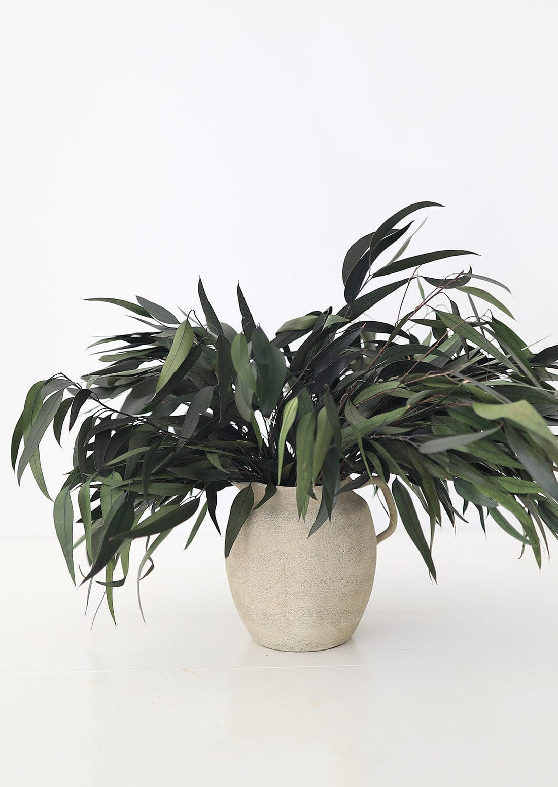 Preserved Weeping Eucalyptus Branches in Afloral Pitcher Vase
