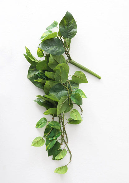 Fake Pothos Vines Plant - Faux Vine Plant