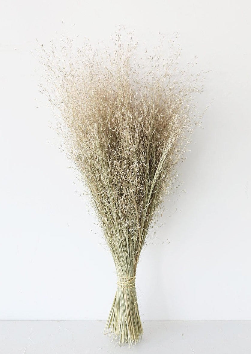 Dried Rice Grass Bundle Neutrals at Afloral