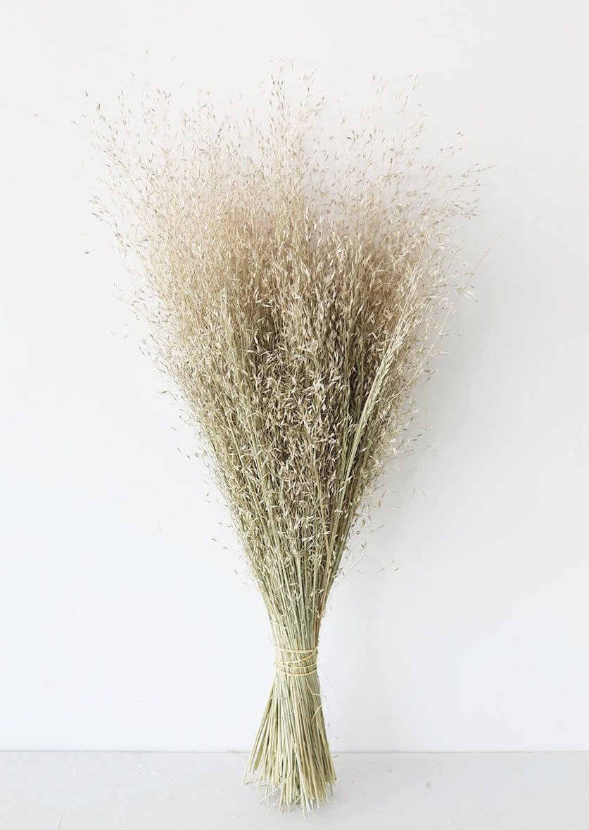 Afloral Dried Rice Grass Bundle Neutrals