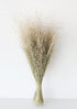 Afloral Dried Rice Grass Bundle Neutrals