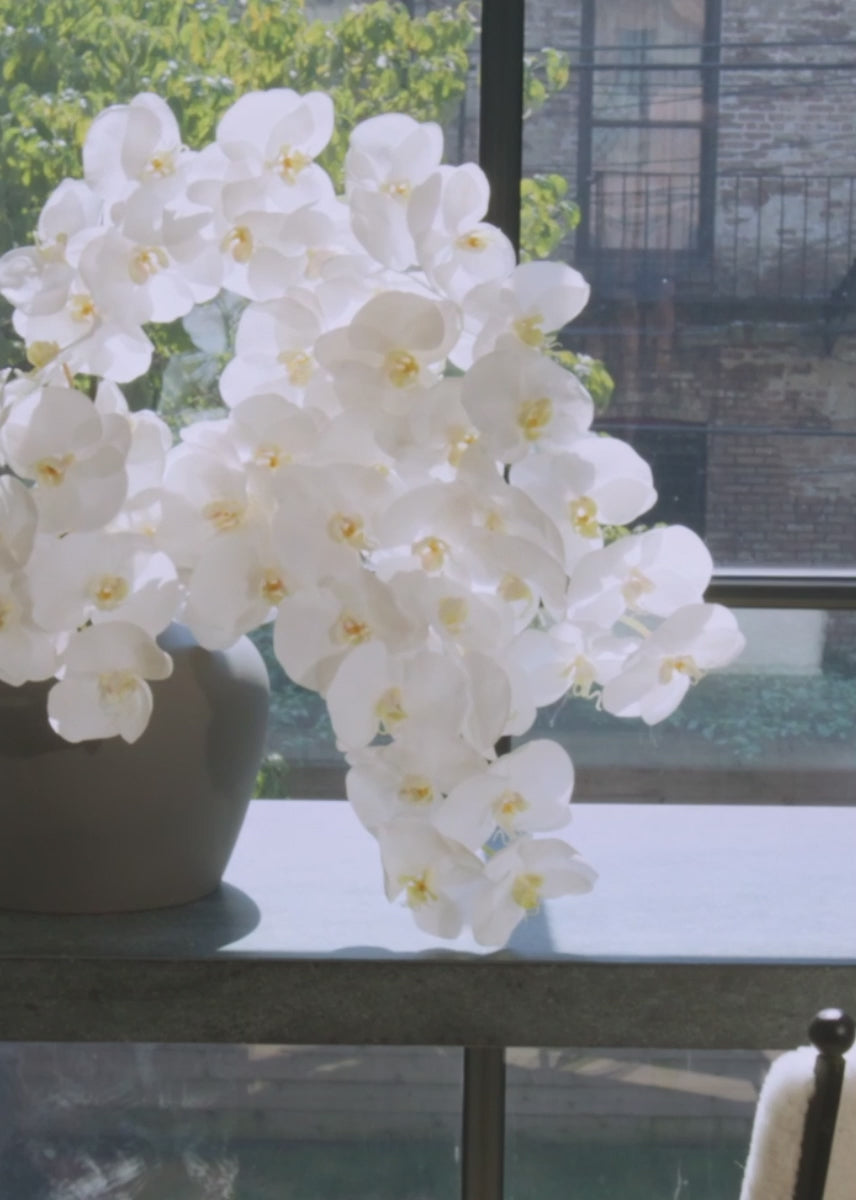 Video of White Real Touch Orchids in Afloral Slate Table Vase