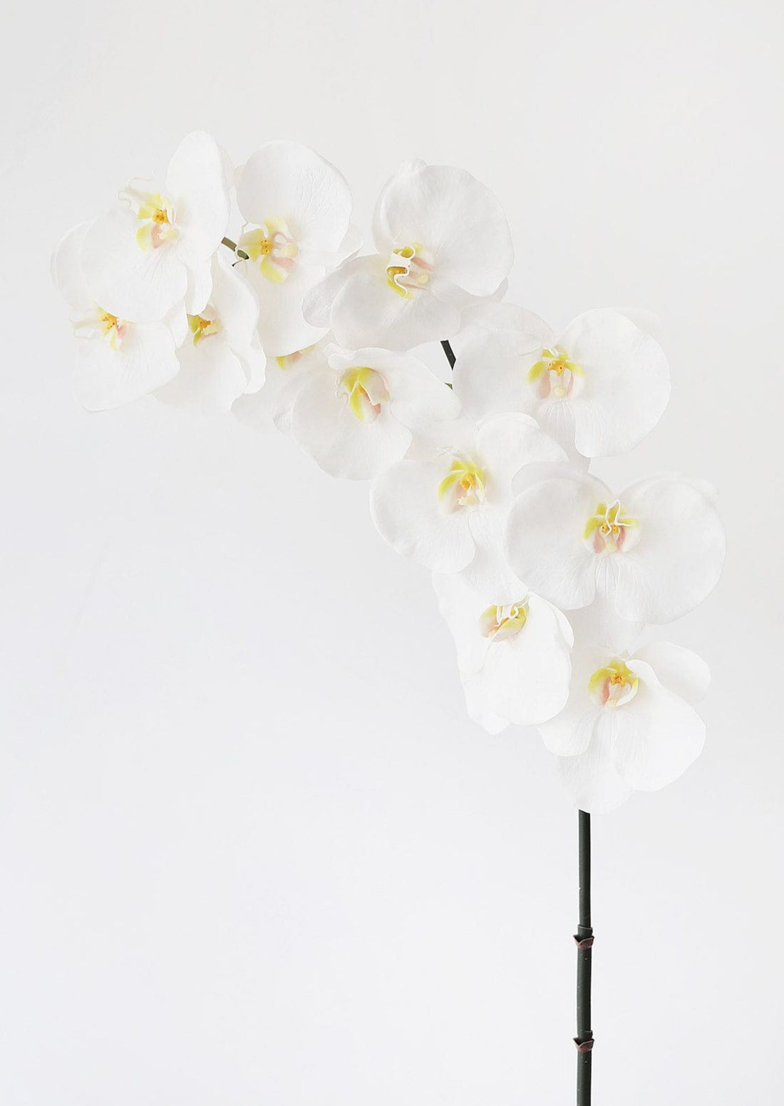 Faux Flowers White Orchids Real Touch Phalaenopsis at Afloral 