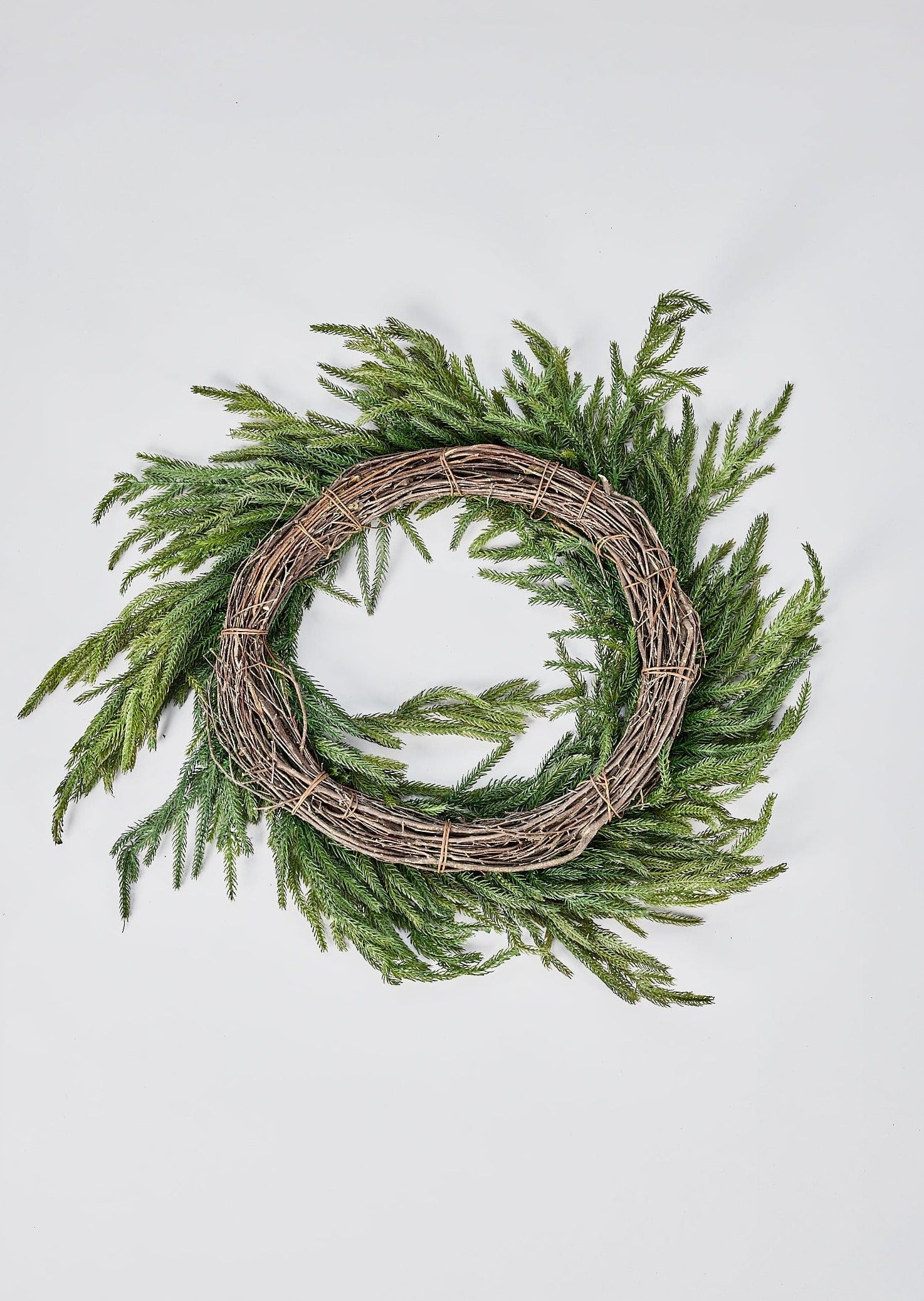 Afloral Norfolk Pine Wreath Backside View