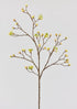 Faux Spring Flowers Tall Cream Yellow Blossom Branch at Afloral 