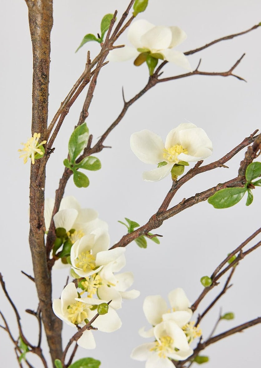 Close Up of Cream Faux Blossom Flower Branch at afloral