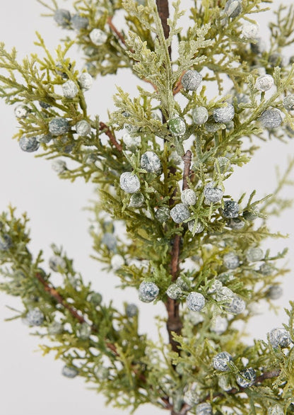 Holiday Juniper Branch with Frosted Winter Berries