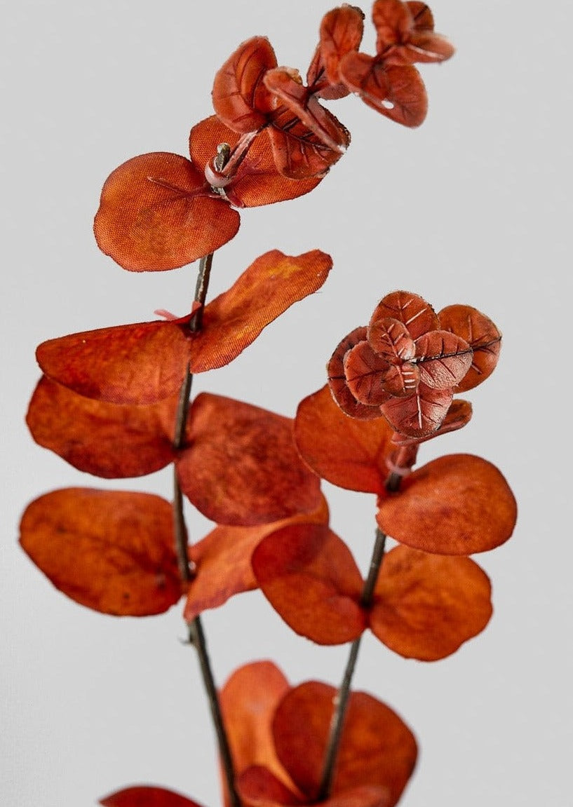 Afloral Close Up of Burnt Sienna Faux Fall Eucalyptus Leaves