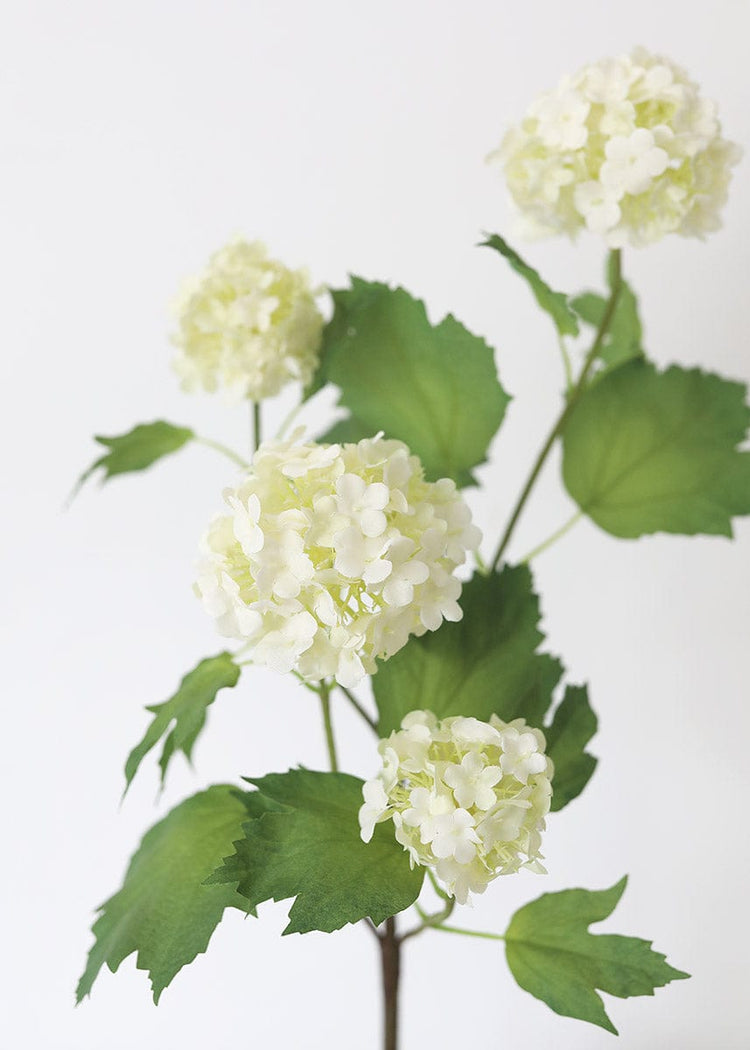 Fake Hydrangeas & Snowball Flowers Afloral