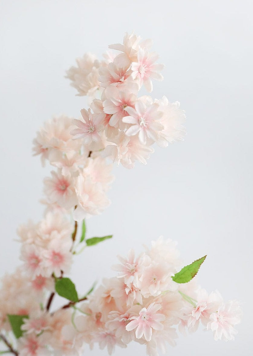 Free Japanese Cherry Blossom Smartphone Wallpapers — Barrettish