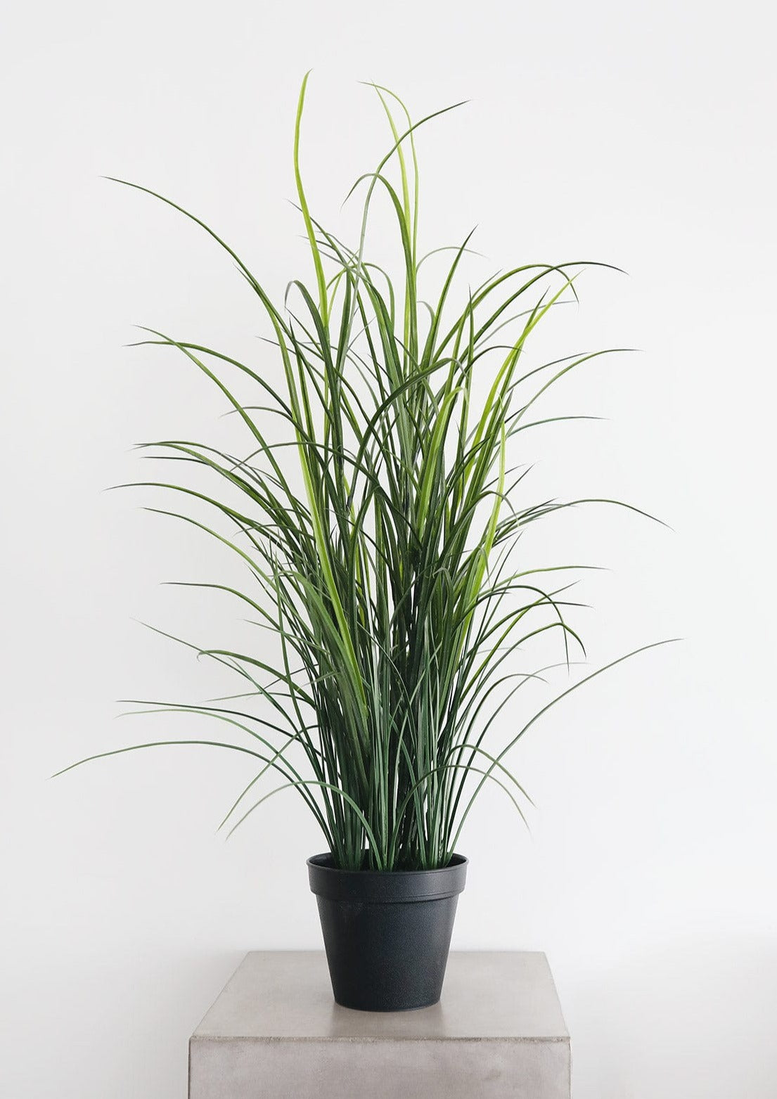 Premade Fake Grass Plant in Black Planter at afloral