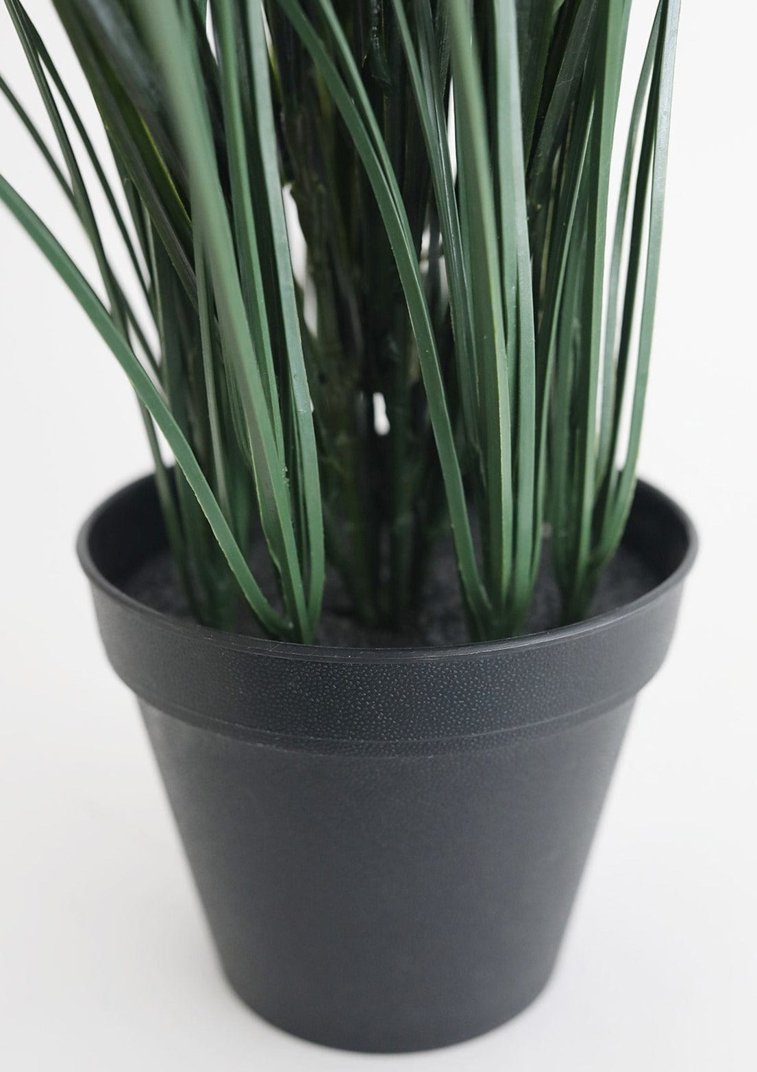 Black Plastic Pot for Outdoor Grass Bush