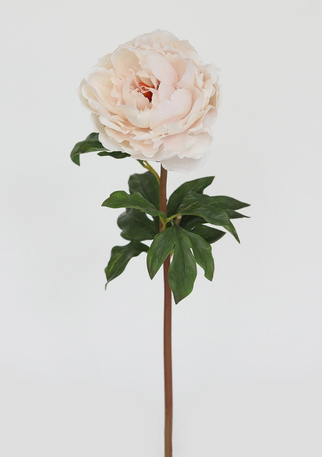 Artificial Flowers in Pink Peach Real Touch Peony Stem at Afloral