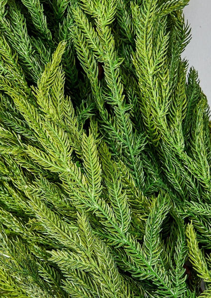 Close Up of Afloral Deluxe Real Touch Norfolk Pine Garland