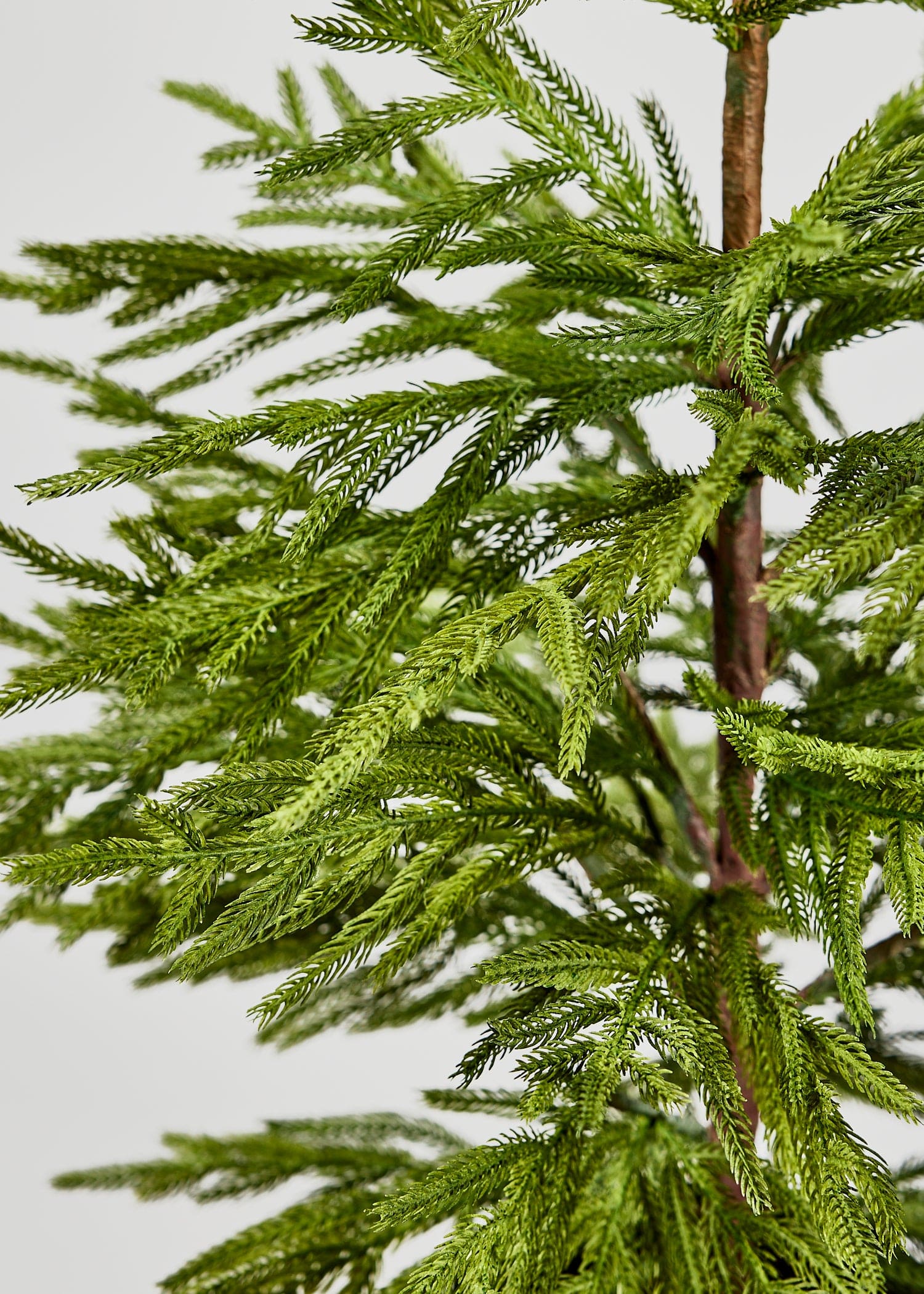Artificial Pine Greens in Afloral Real Touch Norfolk Tree