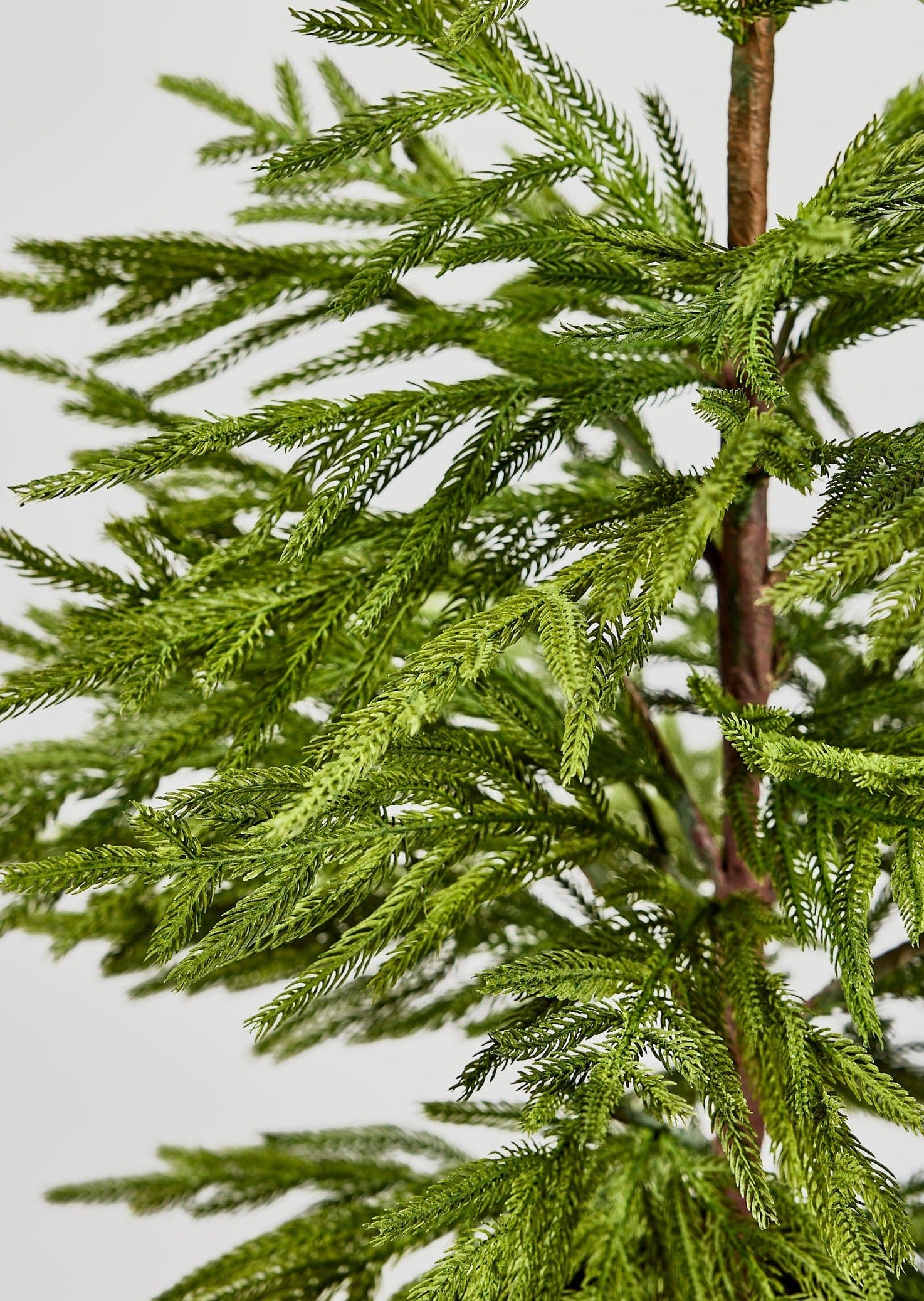 Artificial Pine Greens in Afloral Real Touch Norfolk Tree