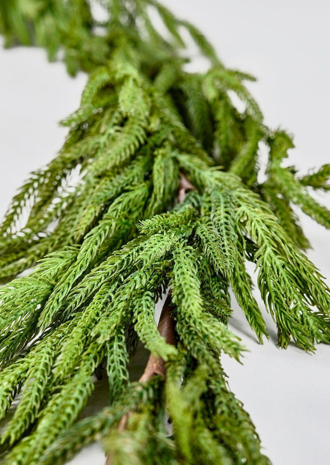 Afloral Holiday Decor Real Touch Norfolk Pine Garland