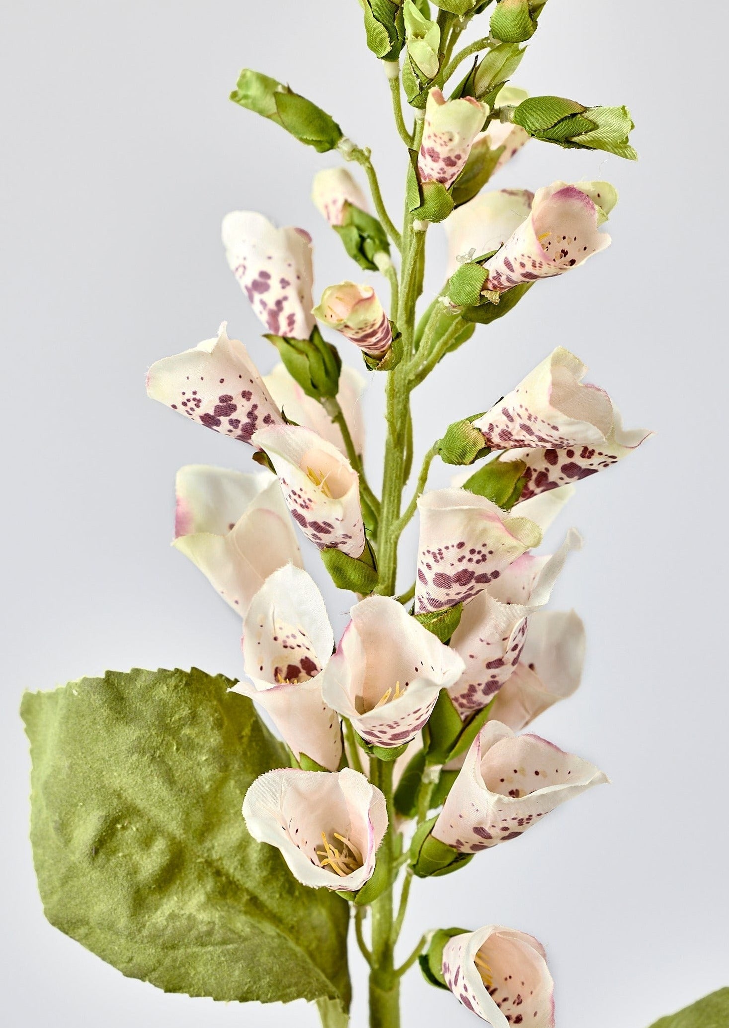 Artificial Flowers Cream Foxglove Branch with Mauve Speckles