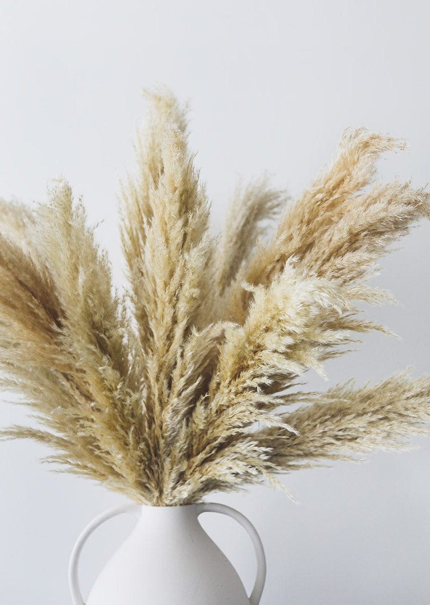 Tan Pampas Grass for Weddings from afloral