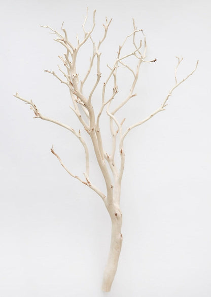 Natural Decor Dried Tall Manzanita Branch