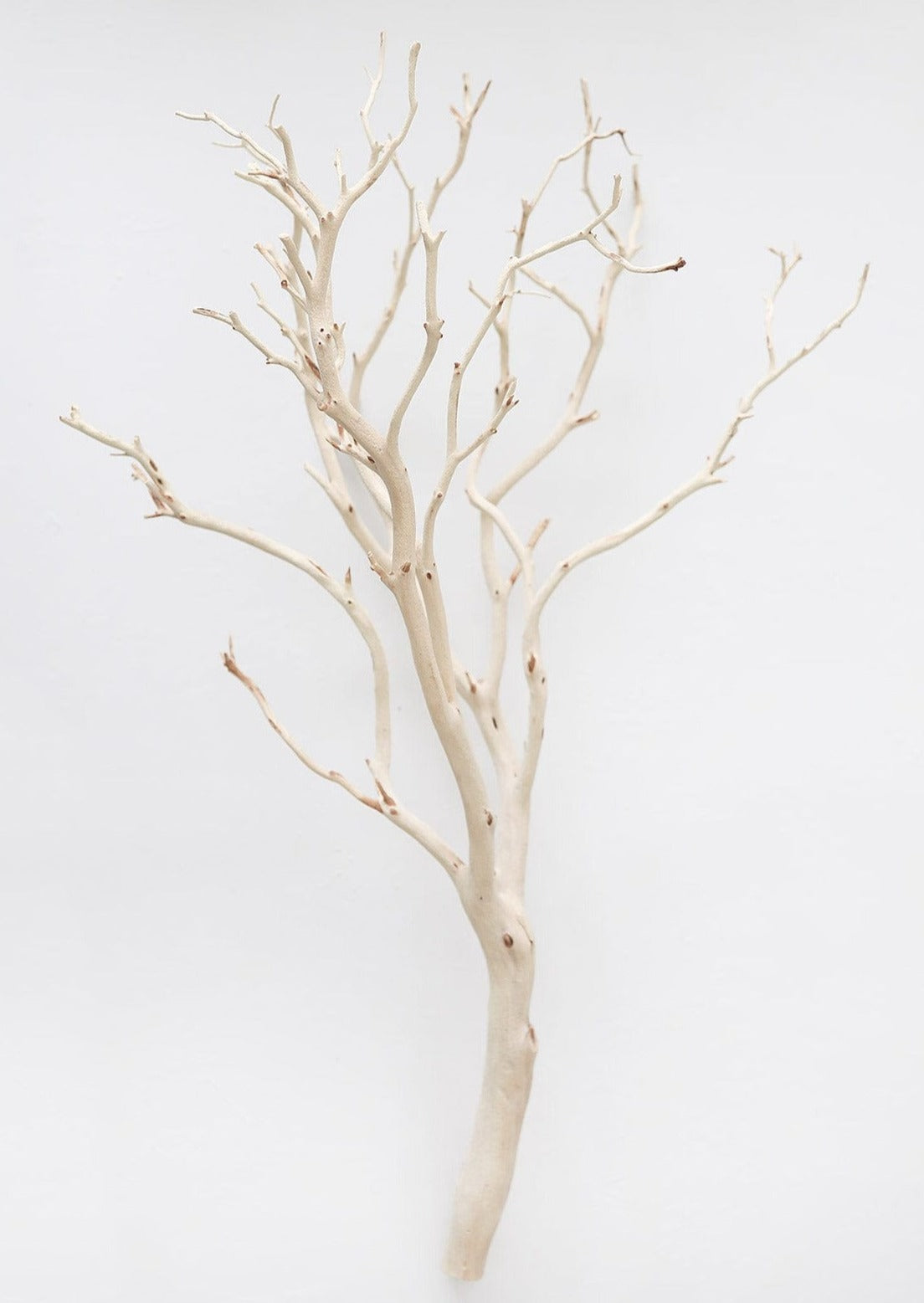 Natural Decor Dried Tall Manzanita Branch