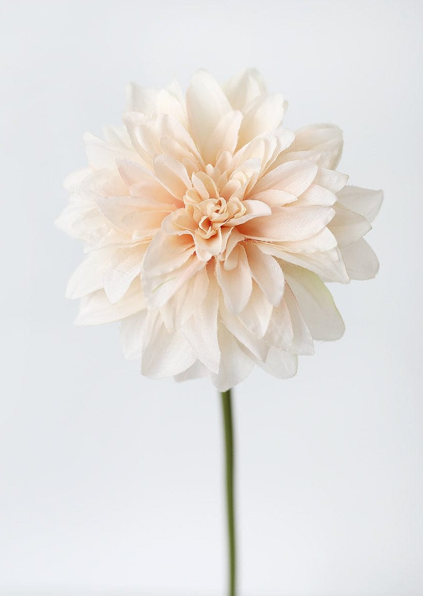 Dahlia Silk Flower in Blush Peach