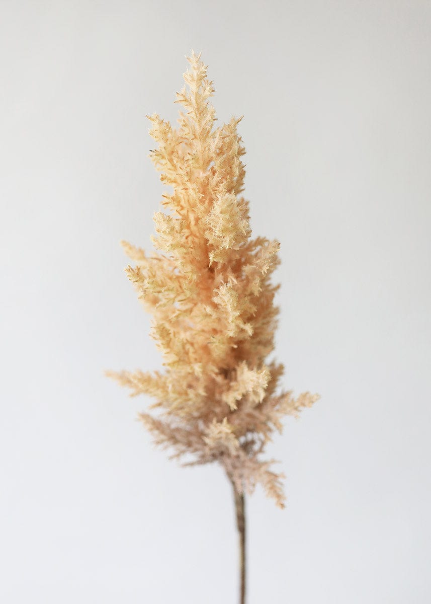 Faux Pampas Grass in Tan Brown