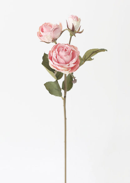 Dusty Pink Dried Look Rose