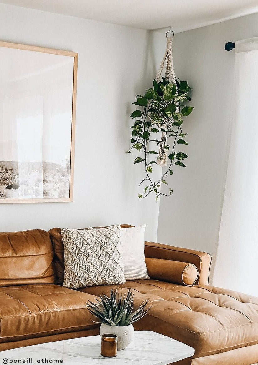 Fake Hanging Pathos Plant in Living Room Decor