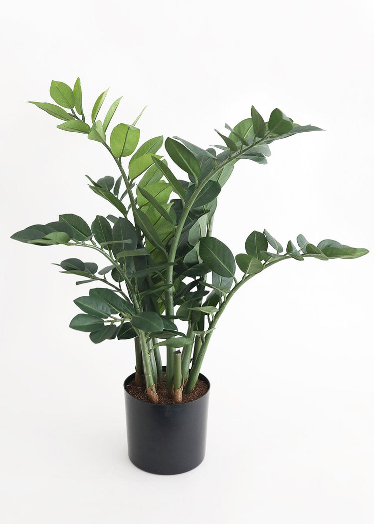 Fake ZZ Plant in Pot Artificial Tropical Plants at