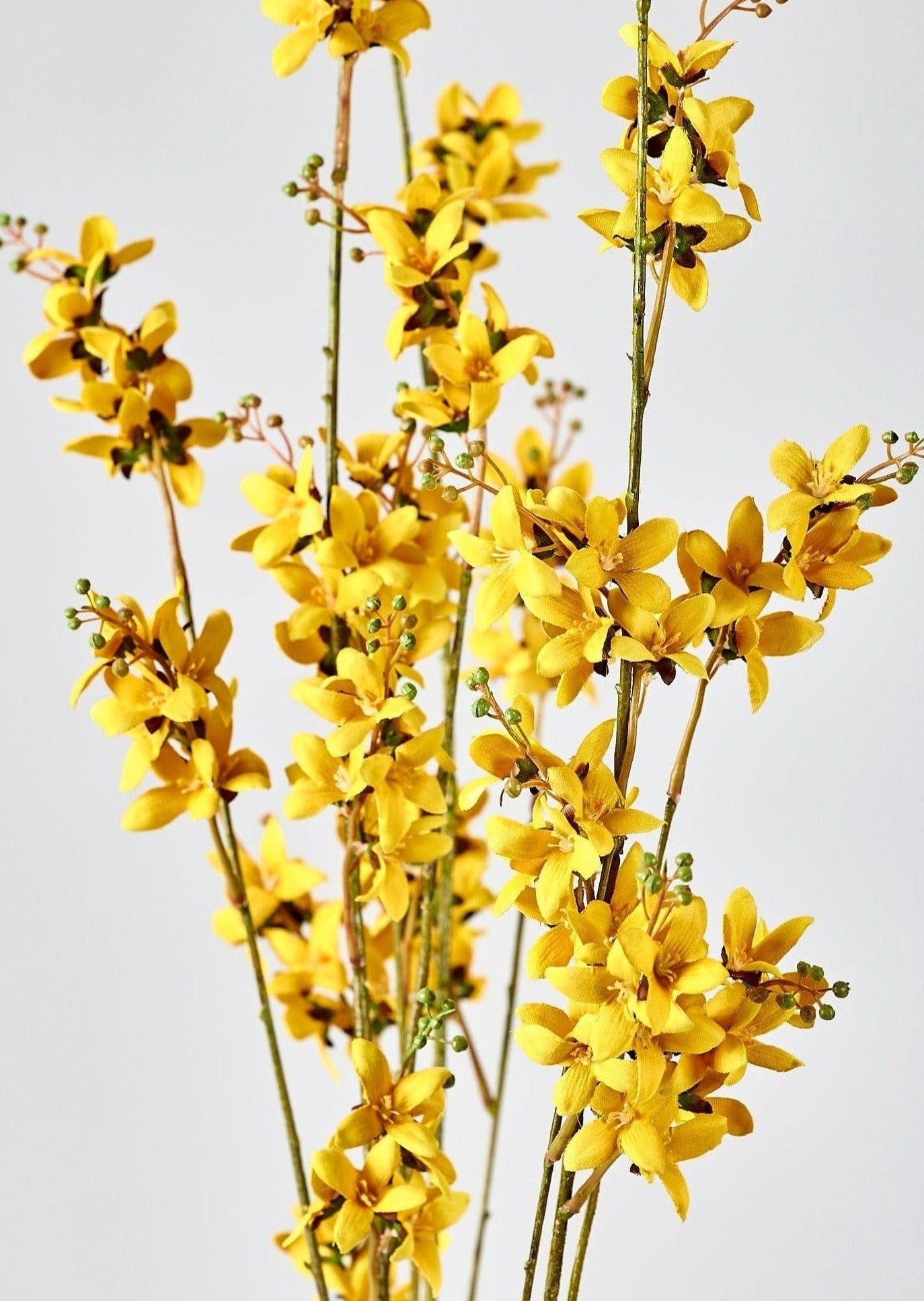 Closeup of Spring Blooms in Yellow Faux Forsythia Branch