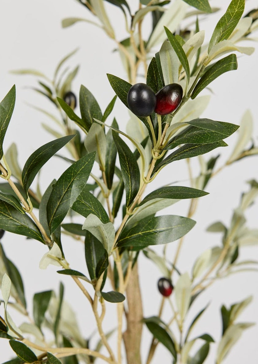 Faux Olive Tree in Pot at afloral