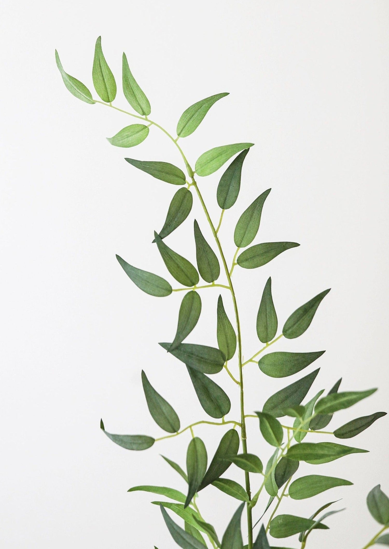 Tall Italian Ruscus Leaf Branch  Fake Leaves & Plants at
