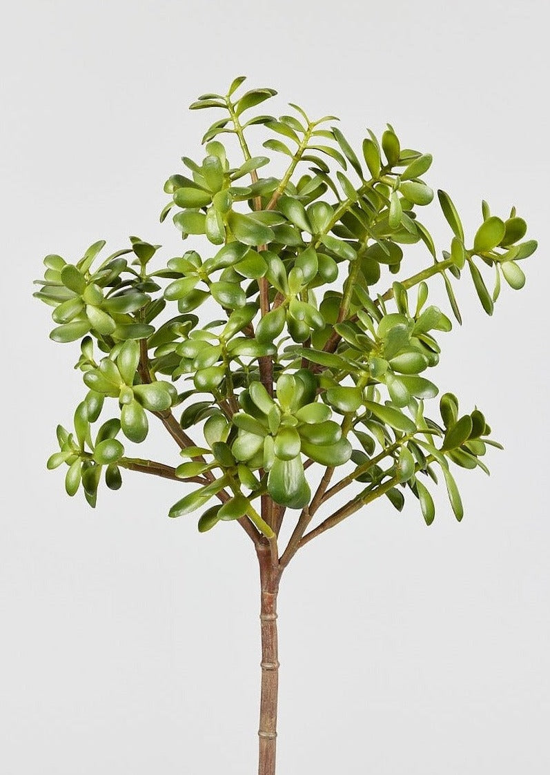 Faux Jade Plant Best Artificial Succulents at