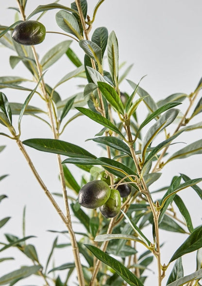 Close Up of Faux Green Leaves in Olive Branch Arrangement