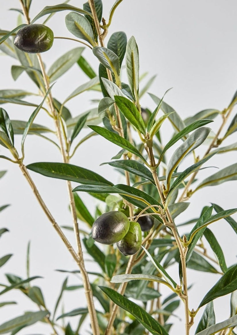 Artificial Olive Branch Arrangement in Glass Vase - 49