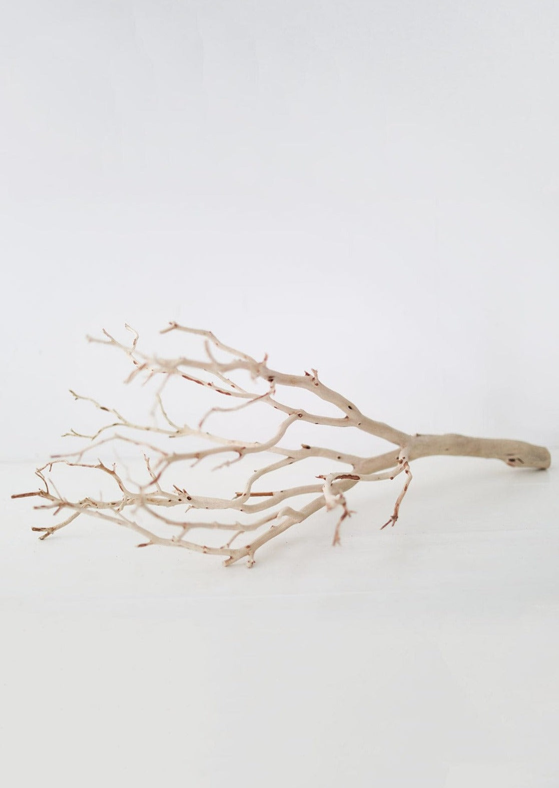 Tabletop Decor Natural Manzanita Branch