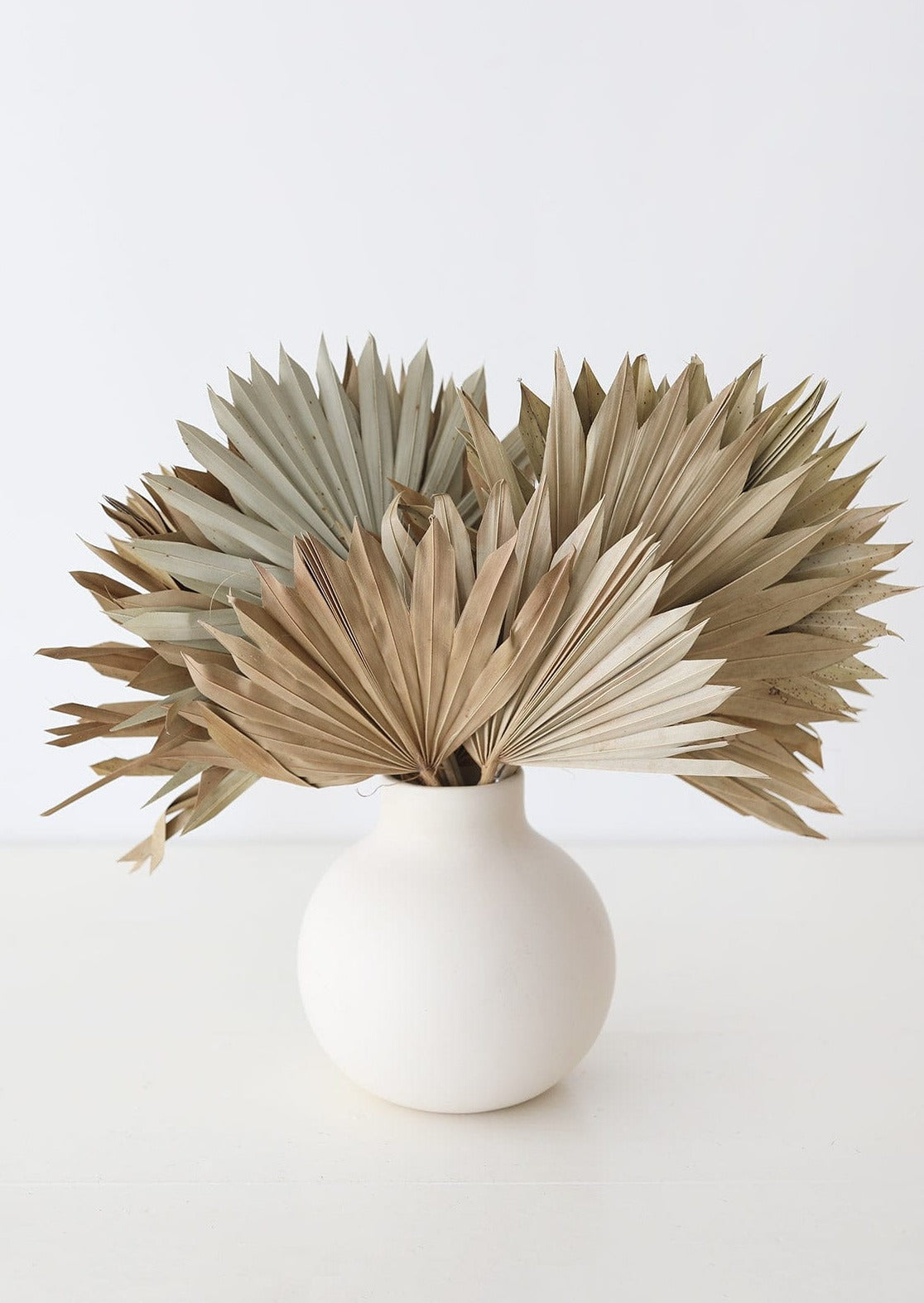 Natural Tan Sun Palms in White Ceramic Vase