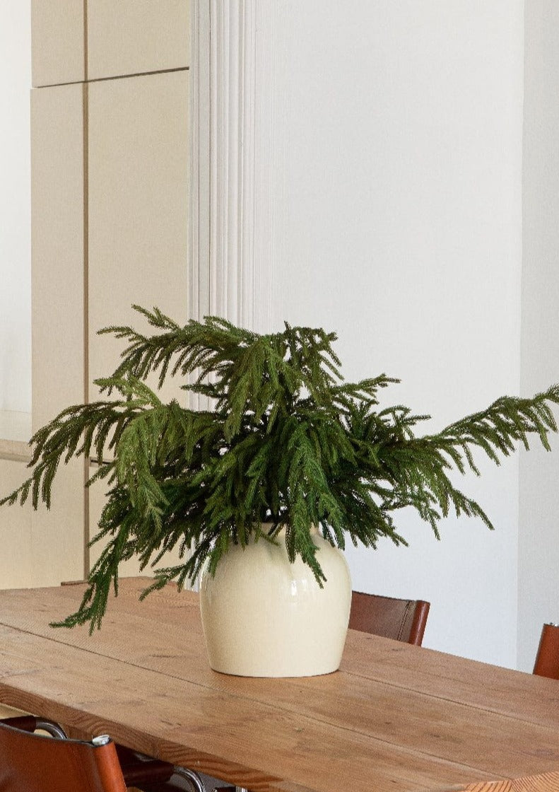 Afloral Artificial Norfolk Pine Branch in Cream vase