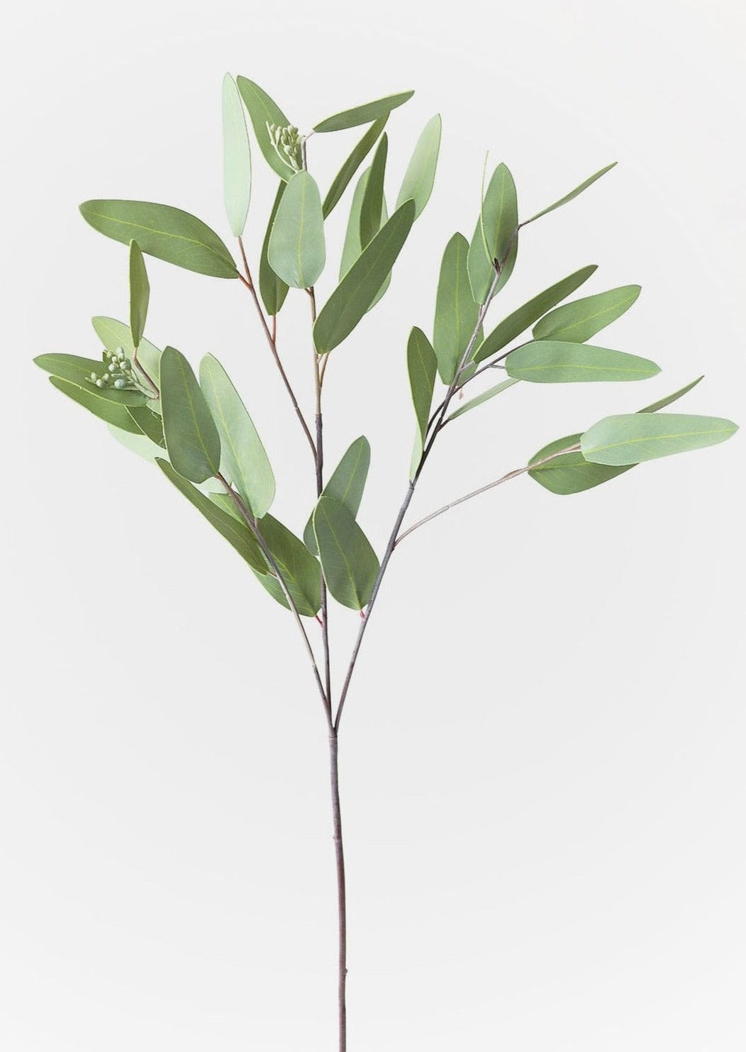 Afloral Realistic Plants Real Touch Eucalyptus Leaves